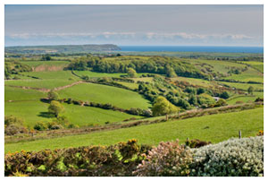 Views from Bryn Goleu